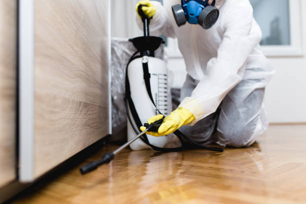 Best Local Pest Control Services  in Forest Heights, MD