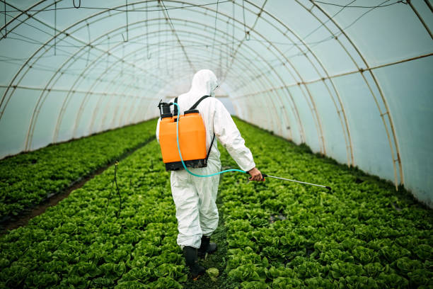 Best Pest Inspection Near Me  in Forest Heights, MD