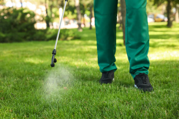 Best Insect Control  in Forest Heights, MD