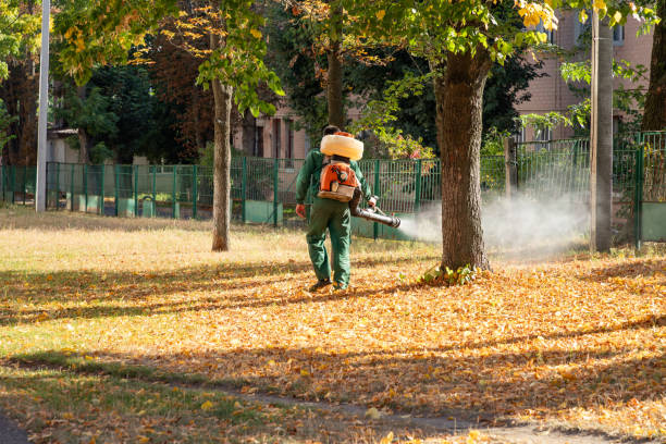 Best Commercial Pest Control Services  in Forest Heights, MD