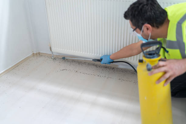 Best Wasp Removal Services  in Forest Heights, MD