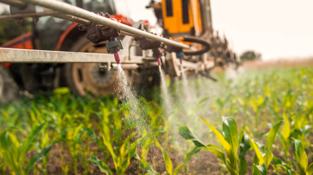 Best Mosquito Control Services  in Forest Heights, MD